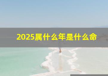 2025属什么年是什么命