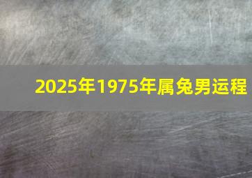 2025年1975年属兔男运程