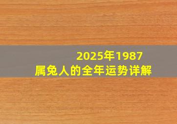 2025年1987属兔人的全年运势详解