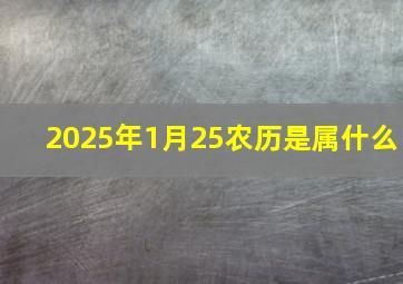 2025年1月25农历是属什么