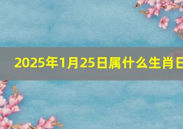 2025年1月25日属什么生肖日