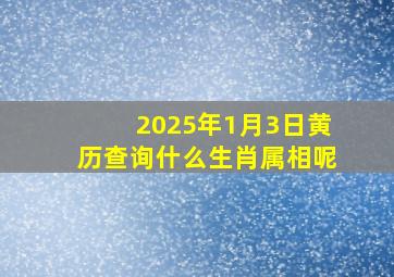 2025年1月3日黄历查询什么生肖属相呢