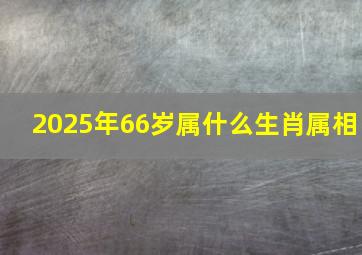 2025年66岁属什么生肖属相