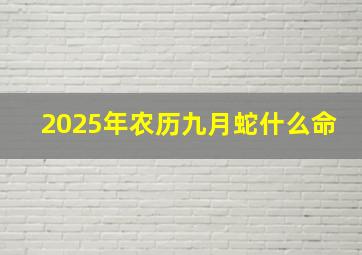 2025年农历九月蛇什么命