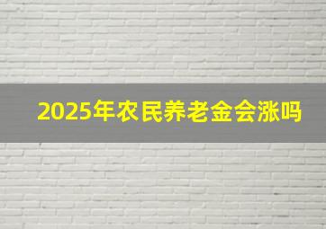 2025年农民养老金会涨吗