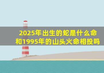 2025年出生的蛇是什么命和1995年的山头火命相投吗