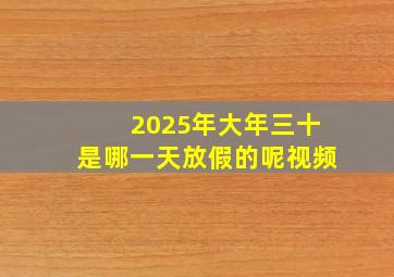 2025年大年三十是哪一天放假的呢视频