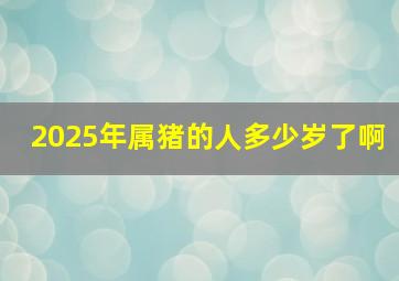 2025年属猪的人多少岁了啊