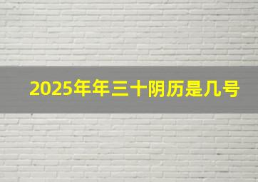 2025年年三十阴历是几号