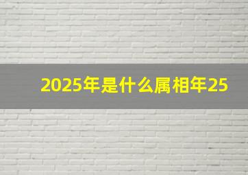 2025年是什么属相年25