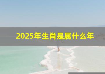 2025年生肖是属什么年