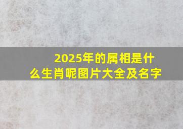 2025年的属相是什么生肖呢图片大全及名字