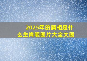 2025年的属相是什么生肖呢图片大全大图