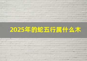 2025年的蛇五行属什么木