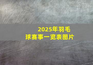 2025年羽毛球赛事一览表图片