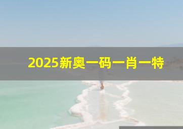 2025新奥一码一肖一特