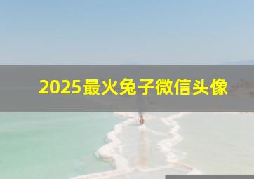 2025最火兔子微信头像