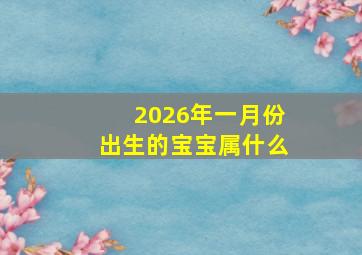 2026年一月份出生的宝宝属什么