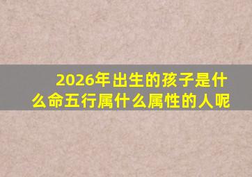 2026年出生的孩子是什么命五行属什么属性的人呢