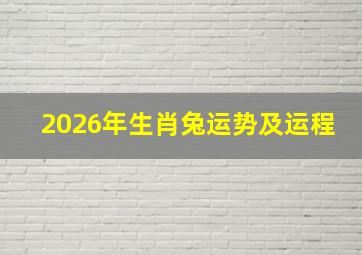 2026年生肖兔运势及运程