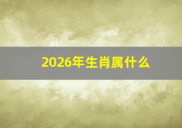 2026年生肖属什么