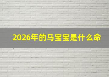 2026年的马宝宝是什么命