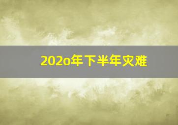 202o年下半年灾难