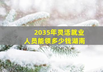 2035年灵活就业人员能领多少钱湖南