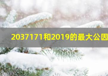 2037171和2019的最大公因数