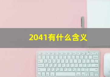 2041有什么含义