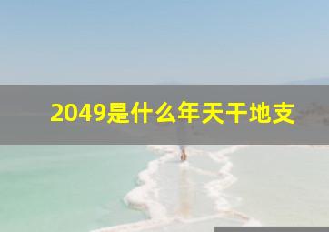 2049是什么年天干地支