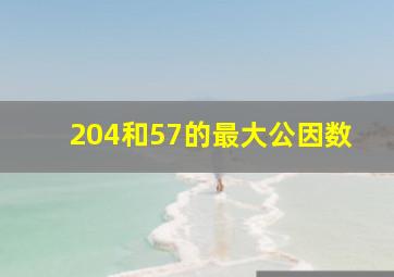 204和57的最大公因数