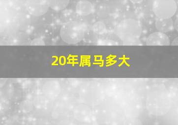 20年属马多大