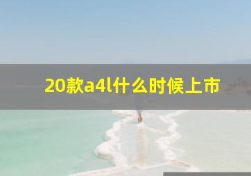 20款a4l什么时候上市