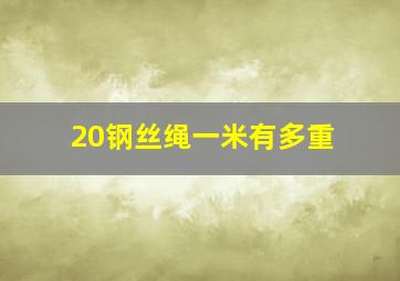 20钢丝绳一米有多重