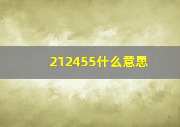 212455什么意思