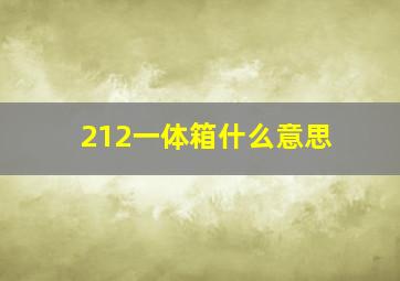 212一体箱什么意思