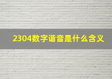 2304数字谐音是什么含义