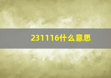 231116什么意思