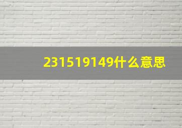 231519149什么意思