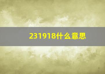 231918什么意思