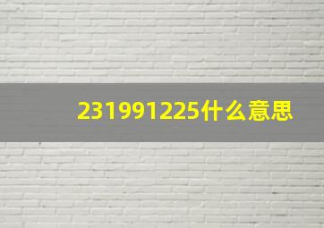 231991225什么意思