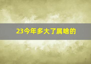 23今年多大了属啥的