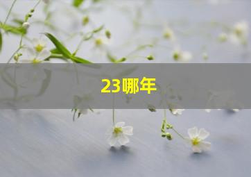 23哪年