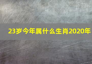 23岁今年属什么生肖2020年