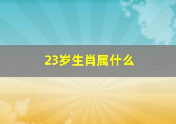 23岁生肖属什么