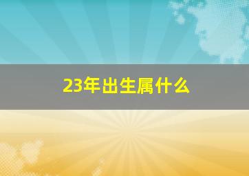 23年出生属什么