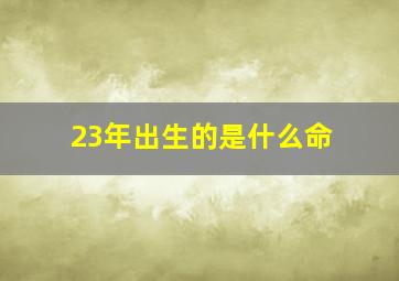 23年出生的是什么命