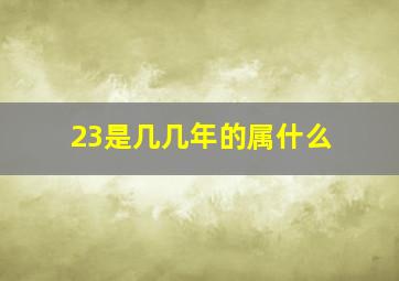 23是几几年的属什么