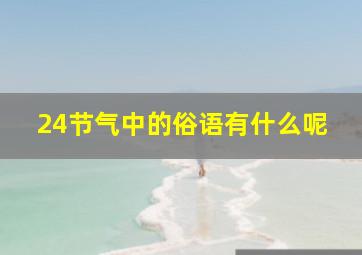 24节气中的俗语有什么呢